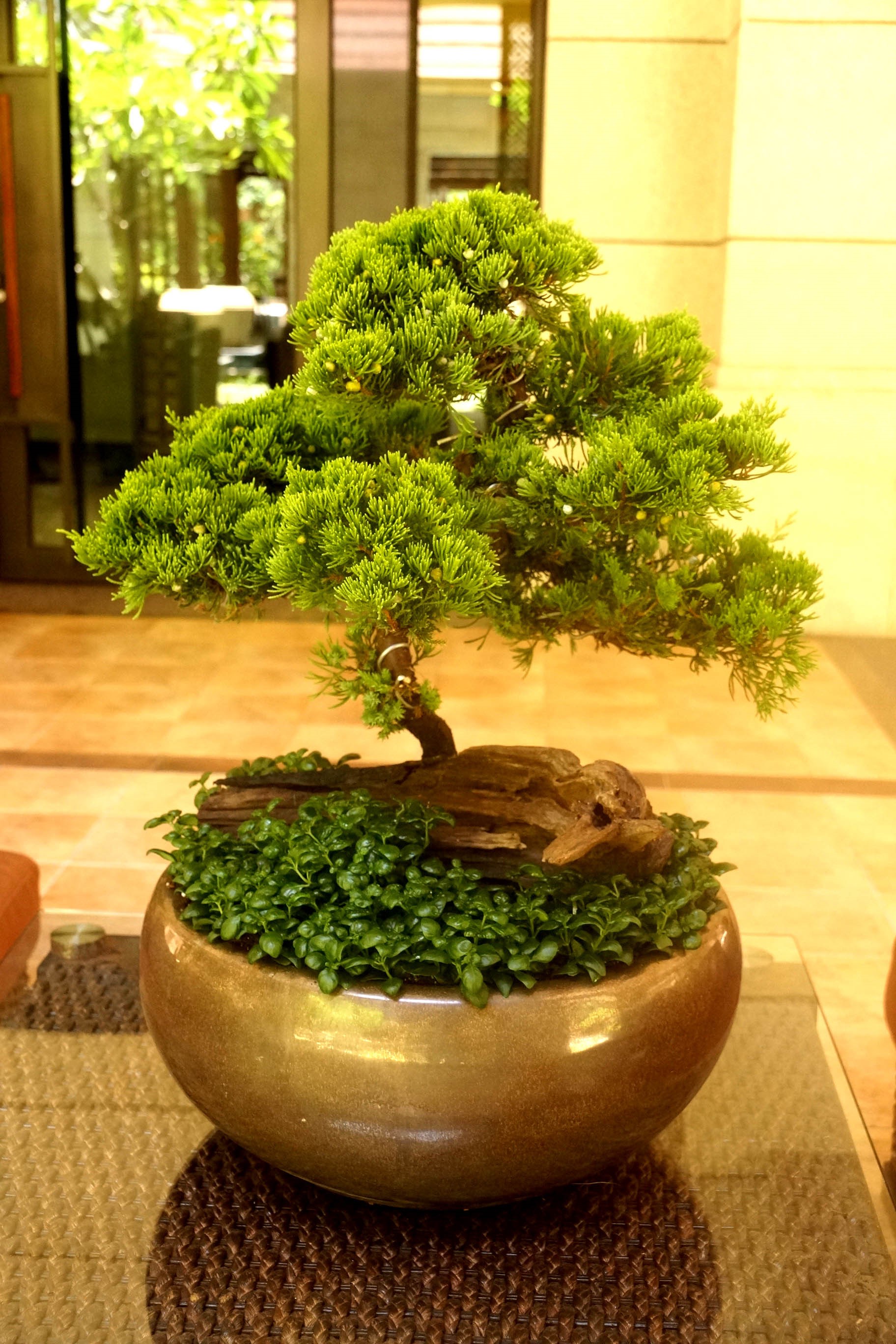 文人風骨