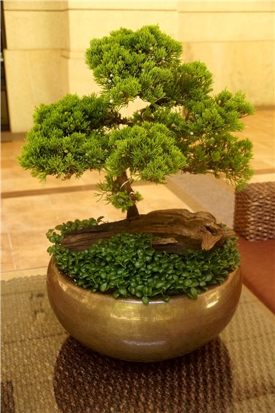 文人風骨